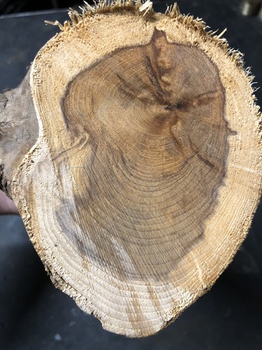 Seasoned yew spindle turning - seasoned,