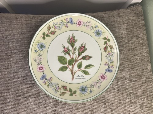 Aynsley flowers from - flowers,