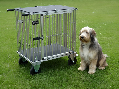 Berth large titan dog - dog, show