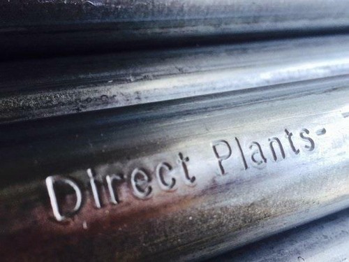 Long 33mm high tensile - x,