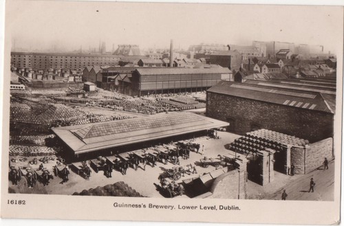 Vintage postcard guinness - vintage, guinness's
