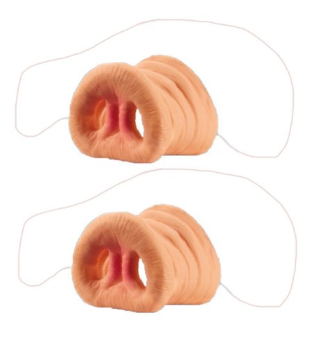 Loftus hog snout pig nose - hog,