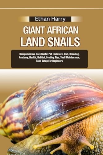 Giant african land snails - land,