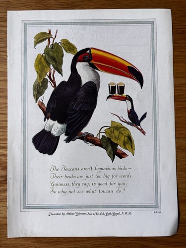 Vintage original toucan - original,