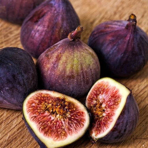 Fig dauphine fruit bush ficus - fruit,