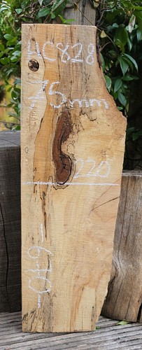 Spalted chestnut live edge - spalted,
