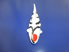 Hand Made Koi Fish Porcelain