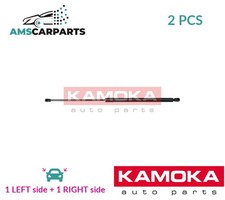 TAILGATE BOOT STRUTS SET