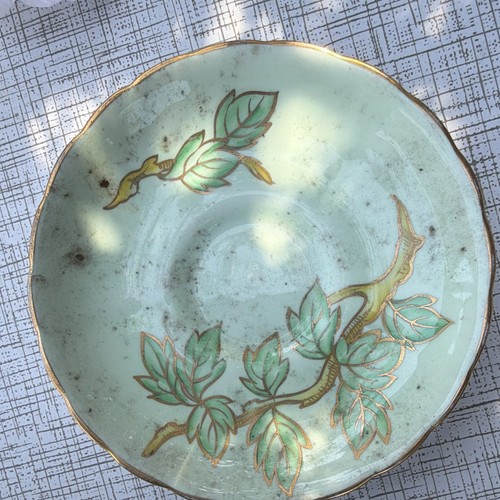 Tuscan bone china plate green - bone,