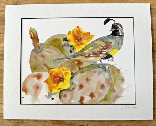 June jurcak gambel quail - june,