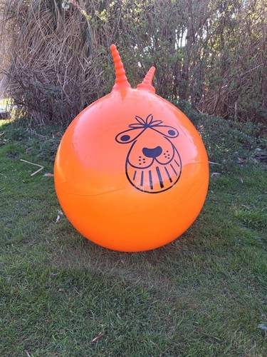 Space hoppers retro toy large - hoppers,