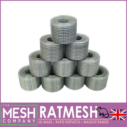 The mesh company rat - mesh,