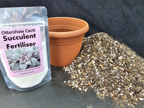 Succulent compost feed - succulent, compost,