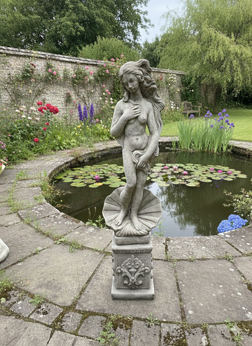 Birth venus garden - birth, of