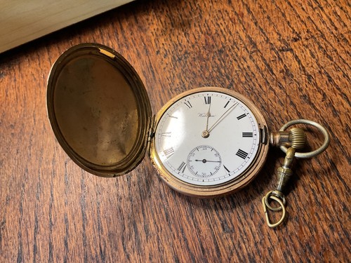 American waltham full hunter - american,