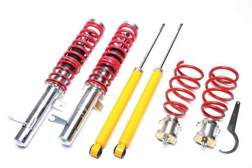 Technix coilovers for ford - ta,