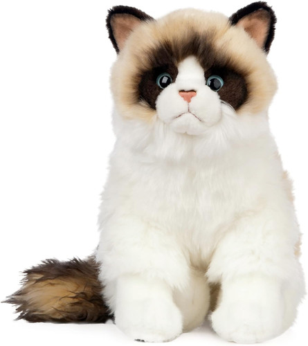 Ragdoll cat realistic soft - ragdoll,