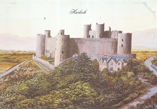 Kevin platt paintings - platt, harlech