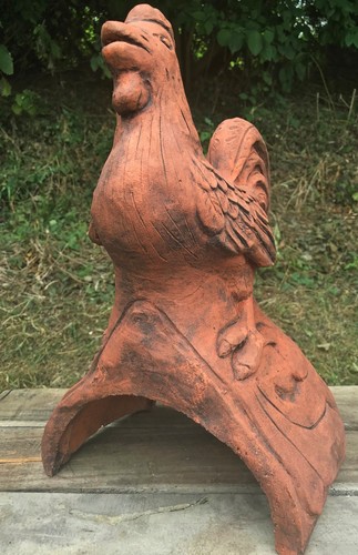 Hen chicken cockerel - hen,