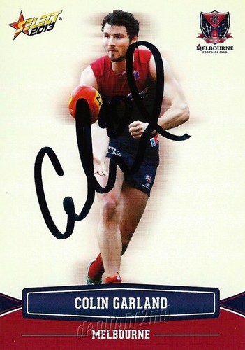 Signed 2013 melbourne demons - 2013,