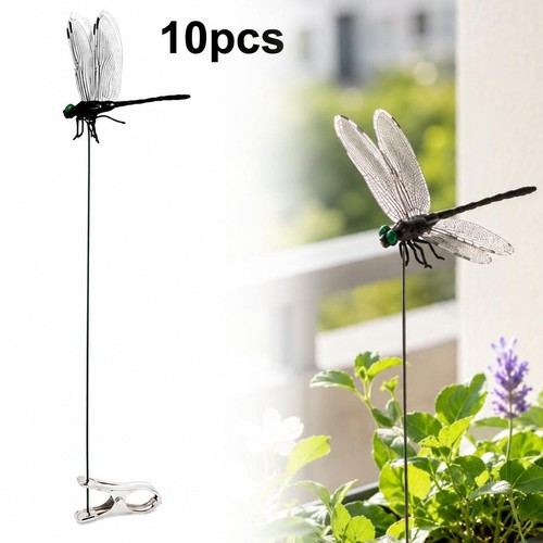 10pcs dragon fly - dragon, for