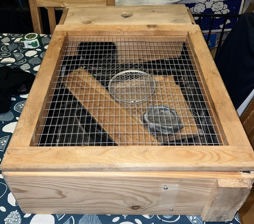 Tortoise table small pet - table,