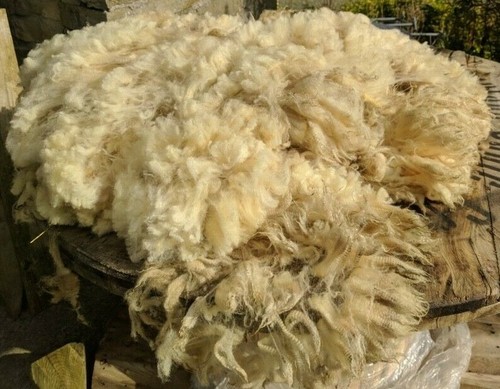 Whole spinning fleece - whole,