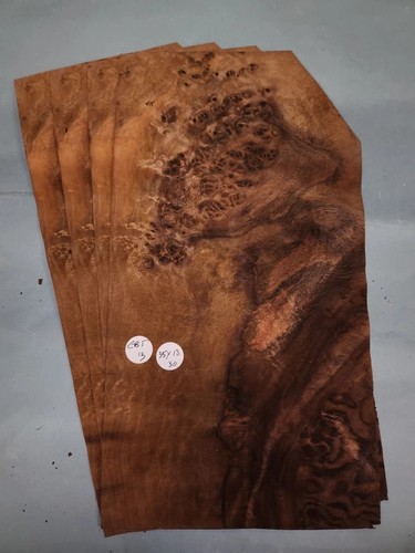 American walnut burr veneer - american,