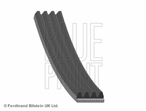 Power steering belt - steering, nissan
