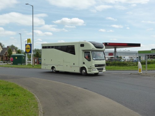 Photo horse lorry - photo,