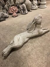 Laying hare long Garden