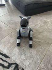 Rare Sony Aibo Ers 210 Silver Dog & Accessories/memorabilia