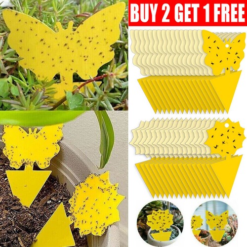41pcs yellow sticky fly trap - yellow,