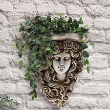 Wall hanging face plant - hanging,