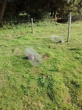 x2 RABBIT TRAPS, CATCH-ALIVE