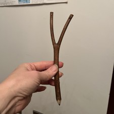 real wood branch pencil