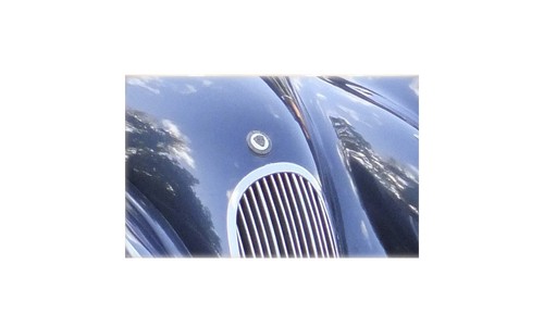 Jaguar 120 bonnet - xk, grille