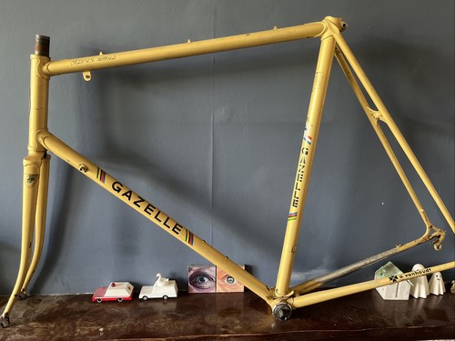 Gazelle champion mondial - champion,