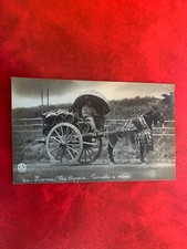 POSTCARD MINT ROMANY HORSE & TRAP GYPSY
