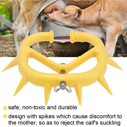 D10pcs calf weaning - calf,
