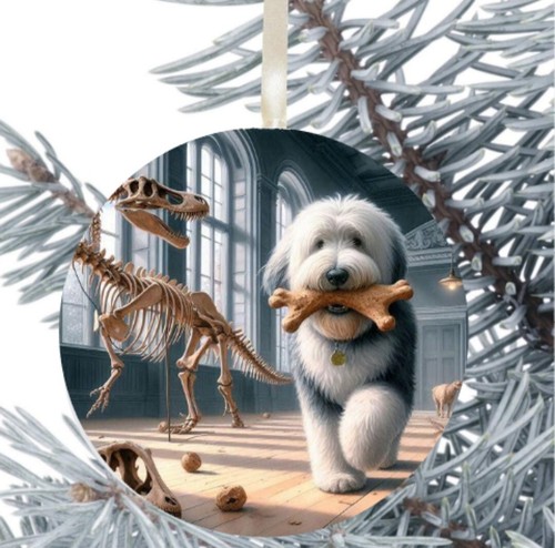 Old english sheepdog - old,