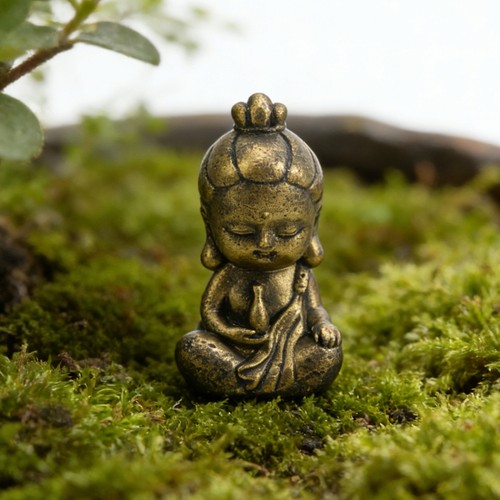 Miniature garden feng shui zen - miniature,