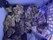 Marine REEF aquarium CURED  live rock