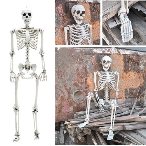 165cm life size - life, human
