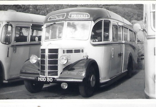 Bus photo hod80 royal - hod80,