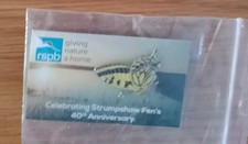 RSPB SWALLOWTAIL BUTTERFLY Strumpshaw Fens 40th anniversary Pin Badge 