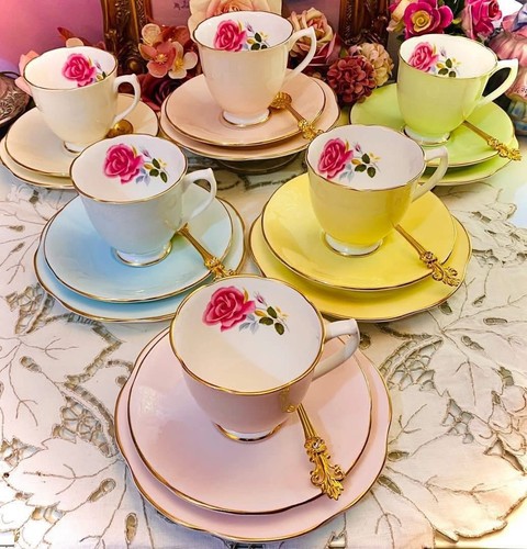 Clare harlequin bone china - harlequin,