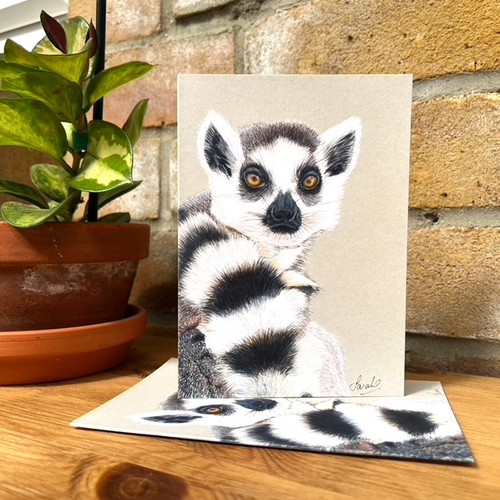 Ring tailed lemur wildlife - tailed,