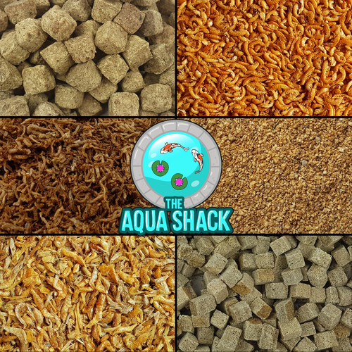 Freeze dried fish food - freeze,