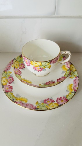 Paragon fine bone - paragon, china